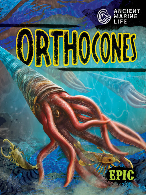 Title details for Orthocones by Kate Moening - Available